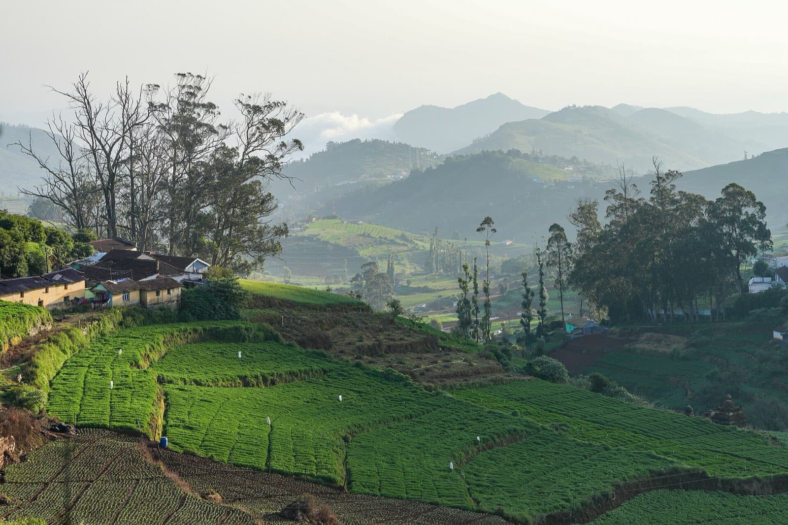 Terraced farms and hazy Nilgiri hills near Ooty